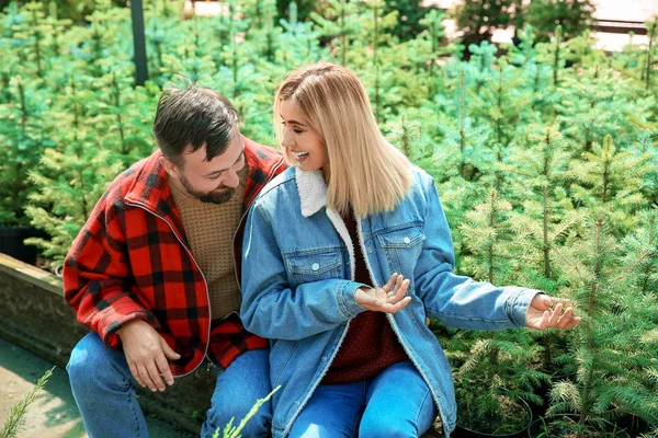 Couple choosing Christmas tree in greenhouse — Stock Photo, Image