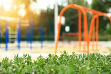 Park alanında yeşil çalı