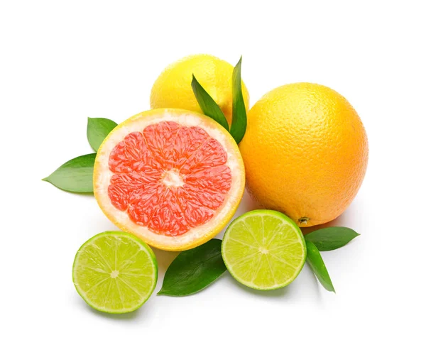 在白色背景上的不同柑橘类水果 — 图库照片