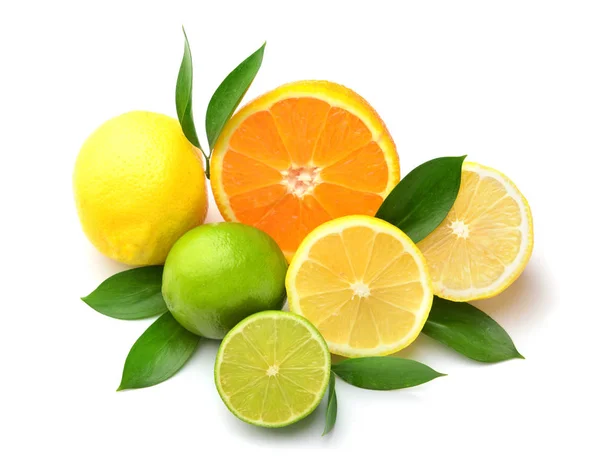 在白色背景上的不同柑橘类水果 — 图库照片