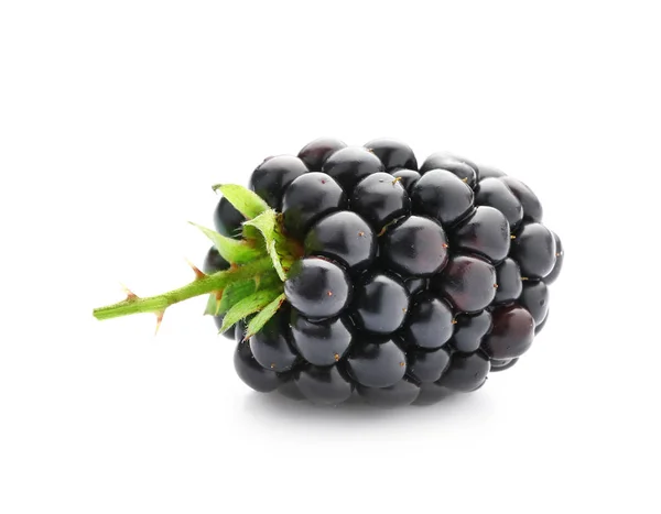 白底黑莓成熟可口 — 图库照片