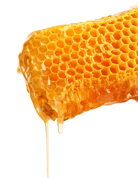 Fresh honeycombs on white background — Stock Photo, Image