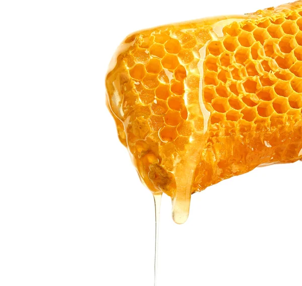 Pentes de mel frescos sobre fundo branco — Fotografia de Stock