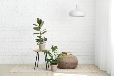 Houseplants ile ışık modern oda iç