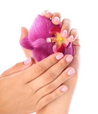 Beyaz arka plan üzerinde güzel manikür ve çiçek ile Kadın eller