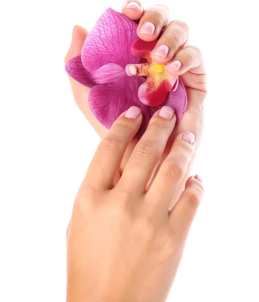 Manos femeninas con hermosa manicura y flor sobre fondo blanco — Foto de Stock