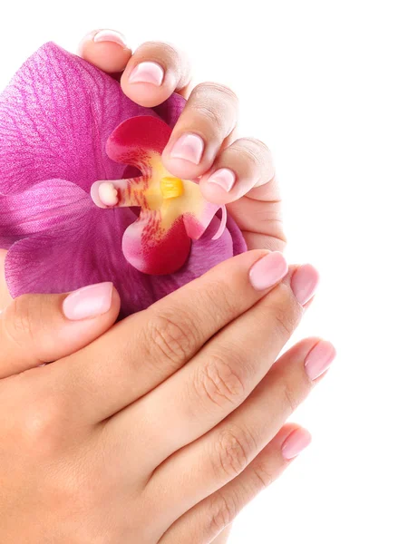 Weibliche Hände mit schöner Maniküre und Blume auf weißem Hintergrund — Stockfoto