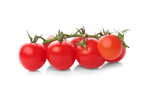 Frische Tomaten auf weißem Hintergrund — Stockfoto