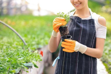 Serada çalışan güzel kadın bahçıvan