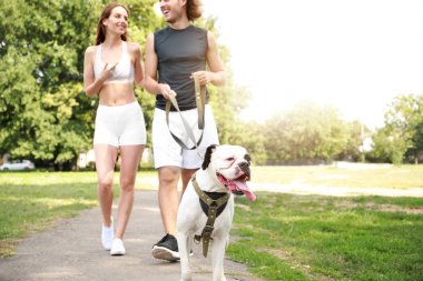 Parkta çalışan sevimli köpek ile Sportif genç çift