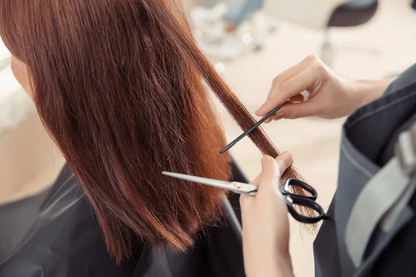 Female hairdresser working with client in salon, closeup — Stock Photo, Image