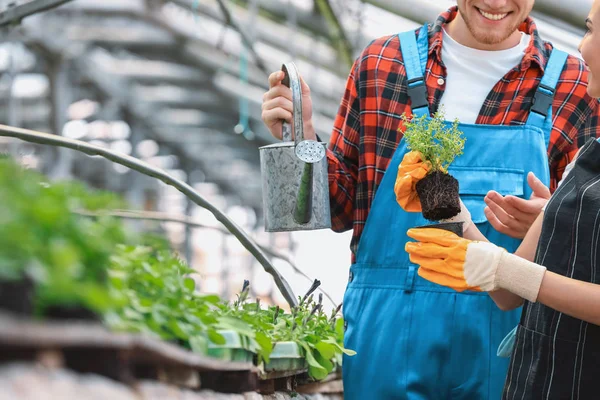 Young gardeners working in greenhouse — Stock Photo, Image
