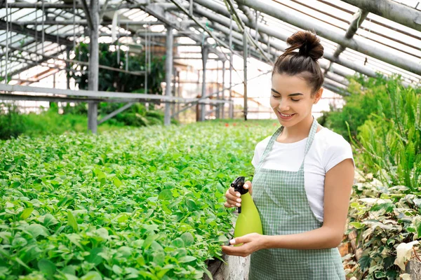 Beautiful female gardener working in greenhouse — Stock Photo, Image