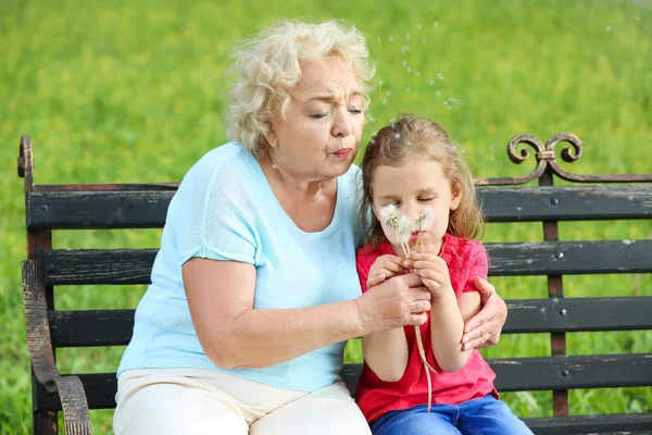 Linda niña con la abuela soplando dientes de león en el parque — Foto de Stock