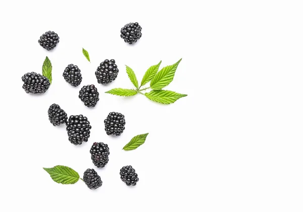 Ripe blackberry on white background — Stock Photo, Image