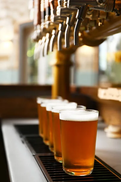 Glasses of fresh draft beer on bar counter — Stock Photo, Image