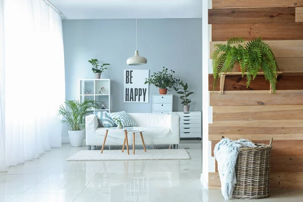 Interior de la luz hermoso apartamento estudio — Foto de Stock