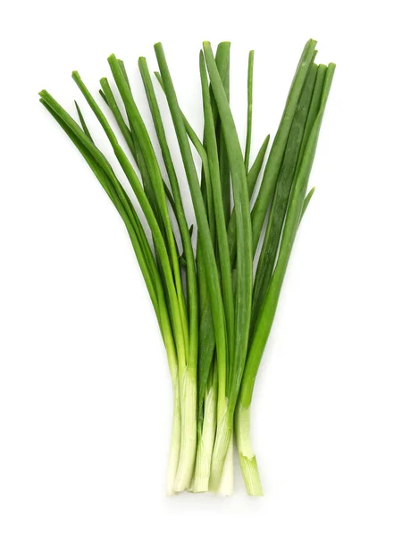 Cebolla verde fresca sobre fondo blanco —  Fotos de Stock