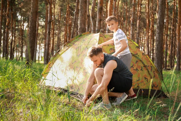 Padre e il suo figlioletto piantare tenda da campeggio nella foresta — Foto Stock