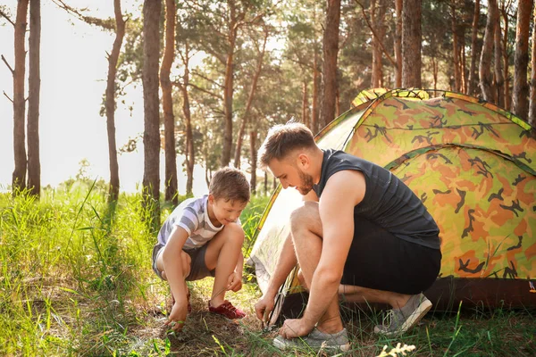 Padre e il suo figlioletto piantare tenda da campeggio nella foresta — Foto Stock