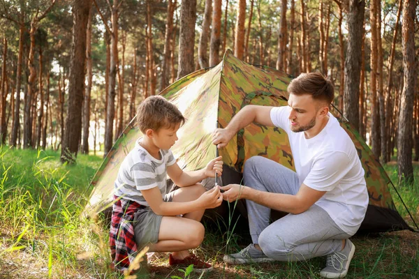 Padre e il suo figlioletto piantare tenda da campeggio nella foresta — Foto Stock
