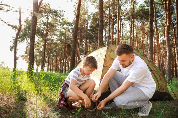 Padre e il suo figlioletto piantare tenda da campeggio nella foresta — Foto Stock