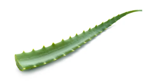 Daun aloe segar pada latar belakang putih — Stok Foto