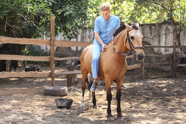 Veterinarian examining horse on farm — Stock Photo, Image