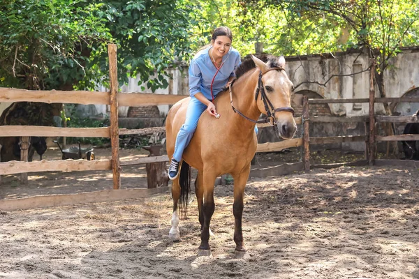 Veterinarian examining horse on farm — Stock Photo, Image