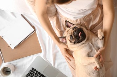 Evde sevimli pug köpek ile güzel genç kadın Sabah