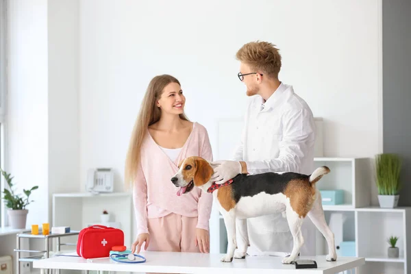 Young woman with cute dog visiting veterinarian in clinic — Stock Photo, Image