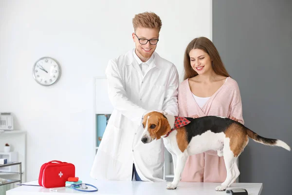 Young woman with cute dog visiting veterinarian in clinic — Stock Photo, Image