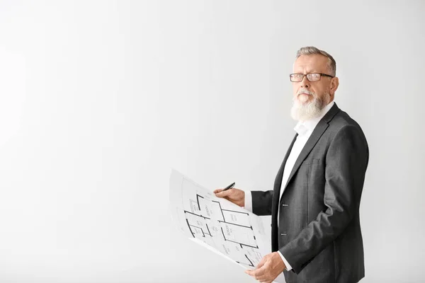 Mature male architect on white background — Stock Photo, Image