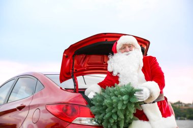 Araba bagajı açık havada köknar ağacı ile Noel Baba