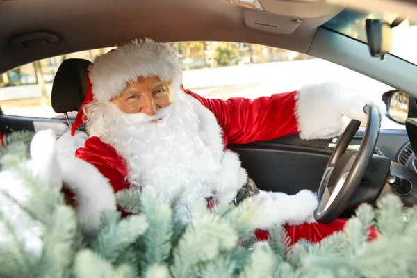 Papai Noel com abeto sentado em carro — Fotografia de Stock