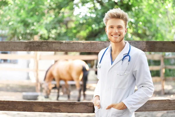 Veterinário perto de paddock com cavalo na fazenda — Fotografia de Stock