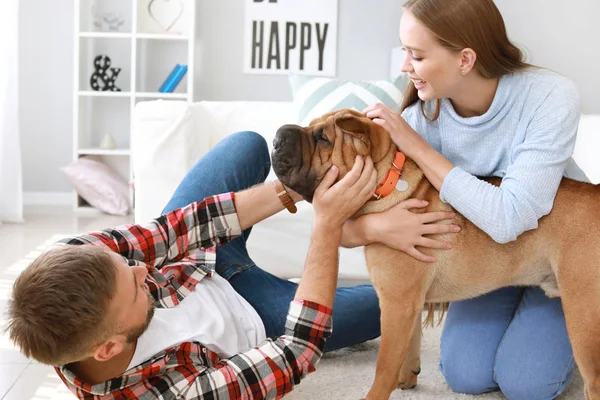 Lyckligt par leker med söt hund hemma — Stockfoto