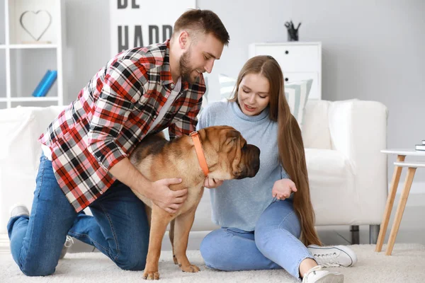 Счастливая пара с милой собакой дома — стоковое фото