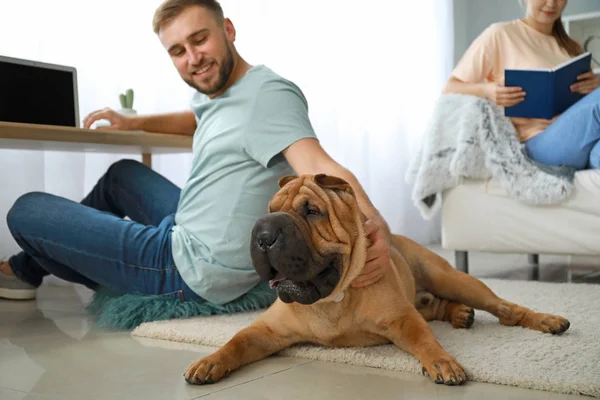 Cute Shar-Pei dog with owners at home — Stock Photo, Image