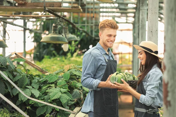 Jóvenes jardineros trabajando en invernadero — Foto de Stock