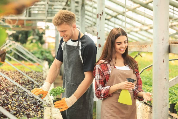 Young gardeners working in greenhouse