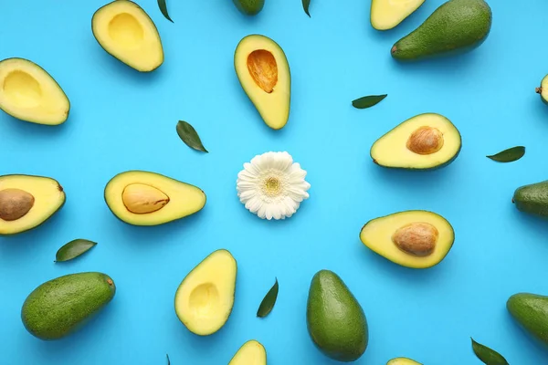 Fresh avocados and flower on color background — Stock Photo, Image