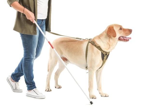 Blind mature woman with guide dog on white background — Stock Photo, Image