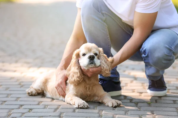 屋外でかわいい犬と男性ボランティア — ストック写真
