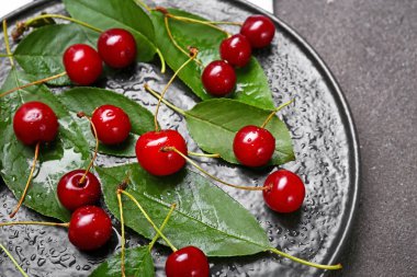 Masada olgun tatlı kiraz ile Plaka, closeup