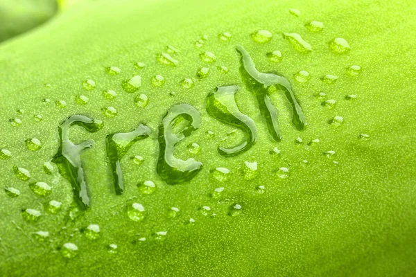 Palabra FRESH y gotas de agua en la hoja verde, primer plano — Foto de Stock