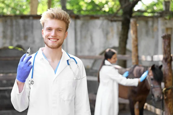 Veterinário vai vacinar cavalo na fazenda — Fotografia de Stock