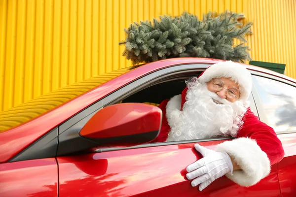 Santa Claus with fir tree driving modern car — Stock Photo, Image