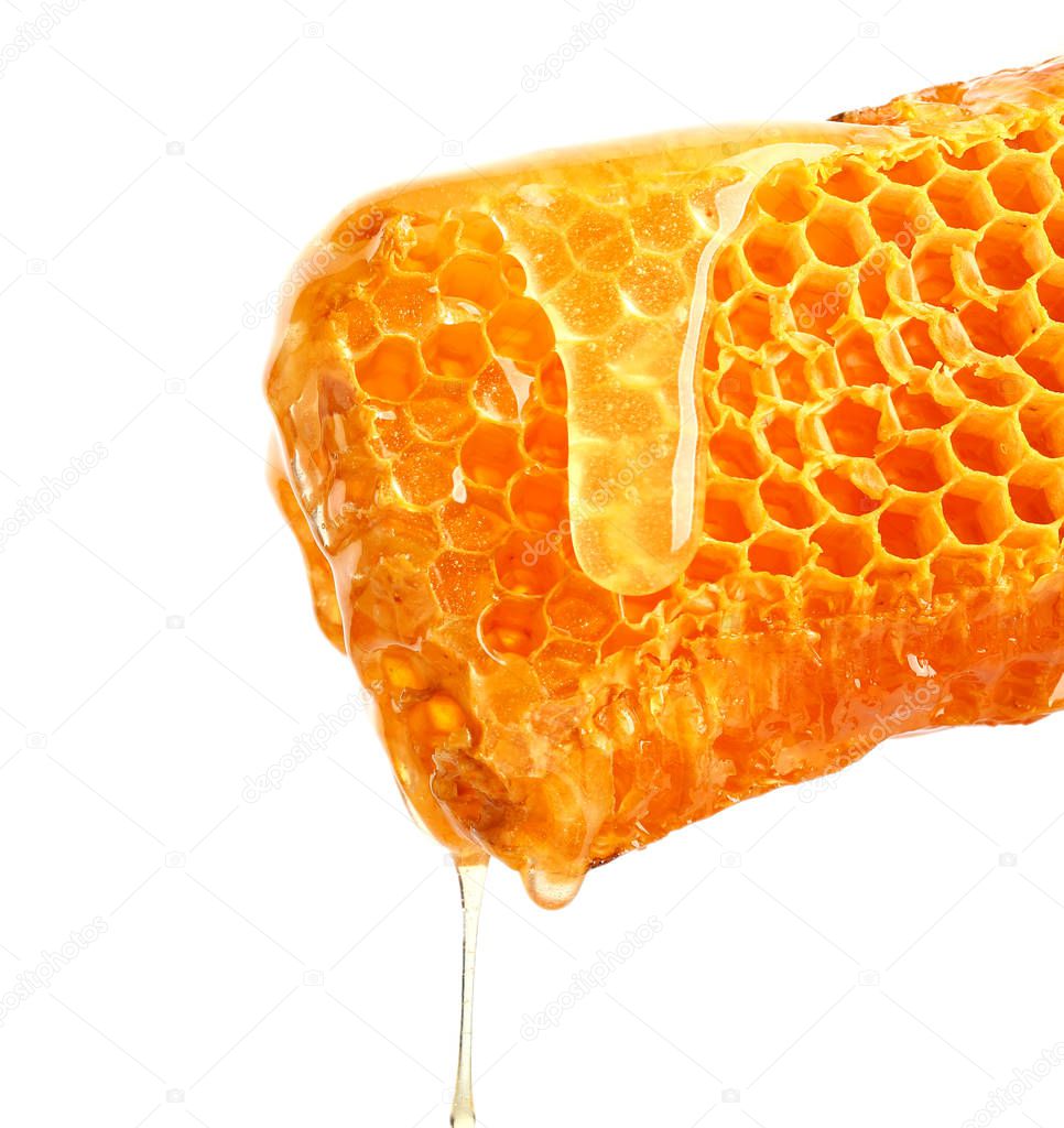 Fresh honeycombs on white background