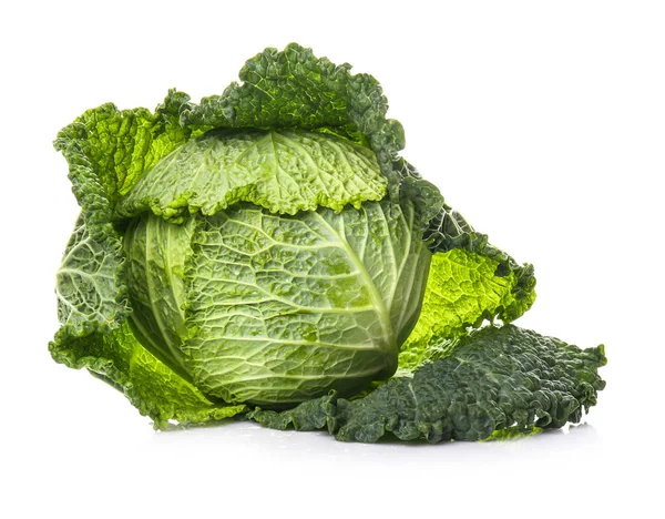 Tasty ripe cabbage on white background — Stock Photo, Image